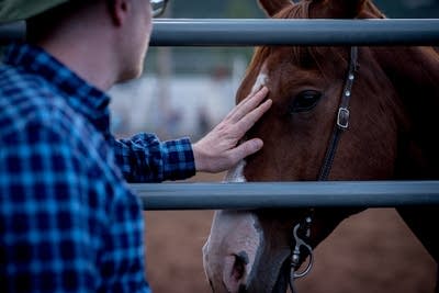 9bc260 20140715 petting a horse at the snowmass rodeo