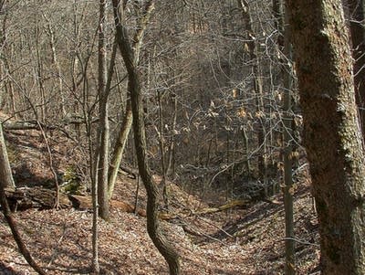 B1ea7b 20160315 trail of tears
