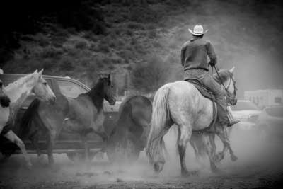 Bc8221 20140715 corralling broncos at the snowmass rodeo