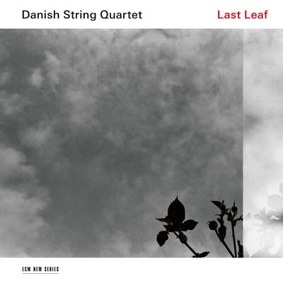 800130 20181211 the danish string quartet last leaf new classical tracks
