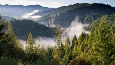 732345 20180814 hales grove united states