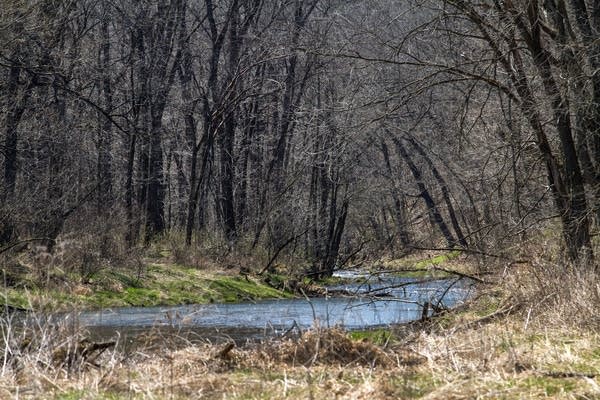 Site of last year's fish kill on the Whitewater.