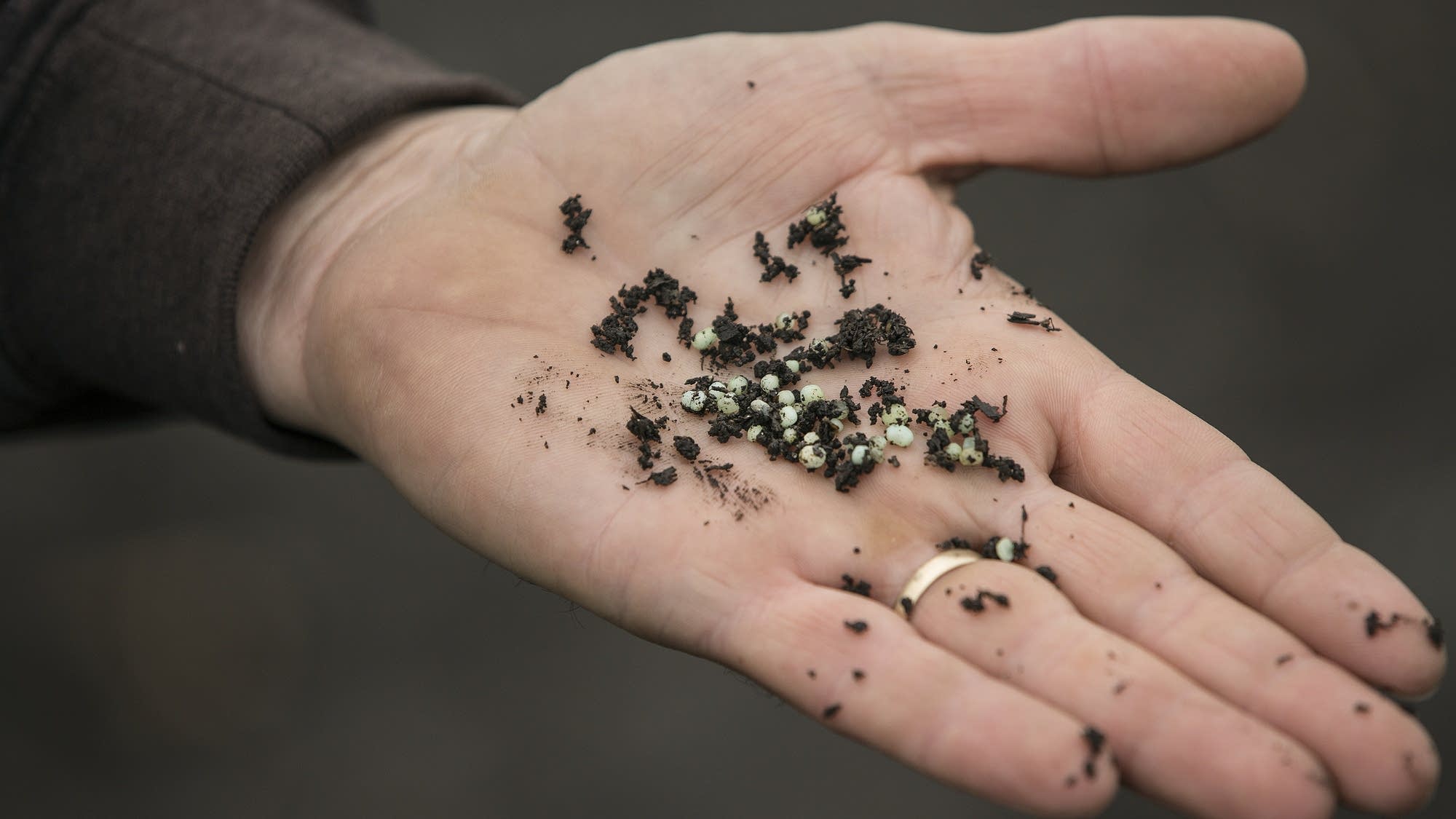 Dave Lochen uses a slow-release fertilizer on his fields.