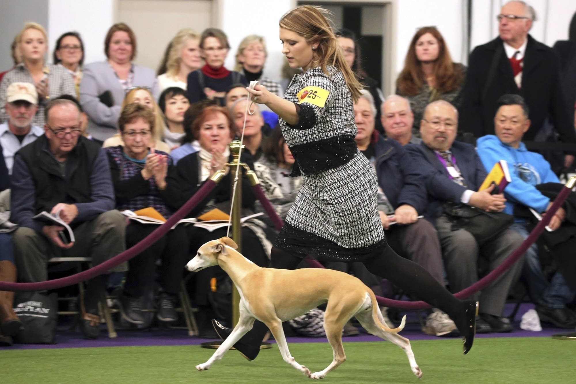Westminster Dog Show