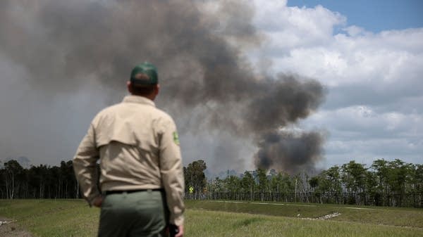 A Forest Service reorg ahead of fire season