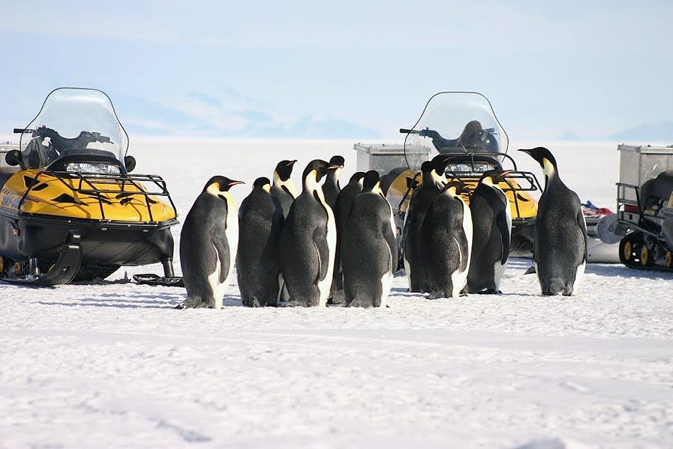 Researchers on the ice