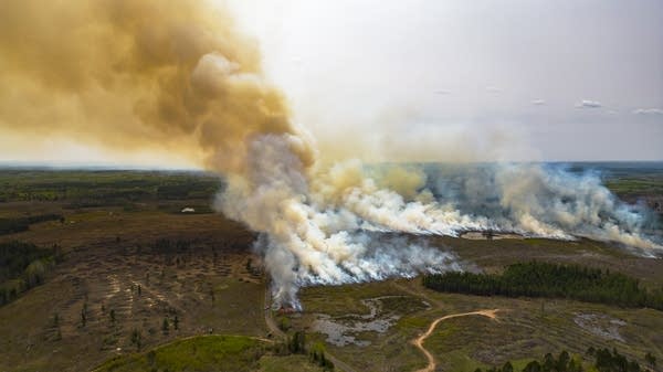 Aerial view of a wildfire