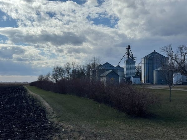 agriculture and war impacts 