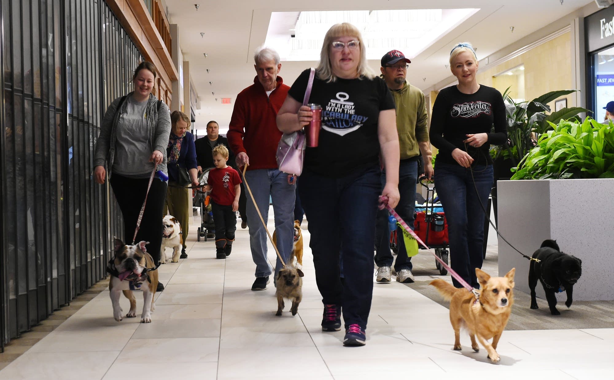 People walk their dogs at Rosedale Mall in February 2018.