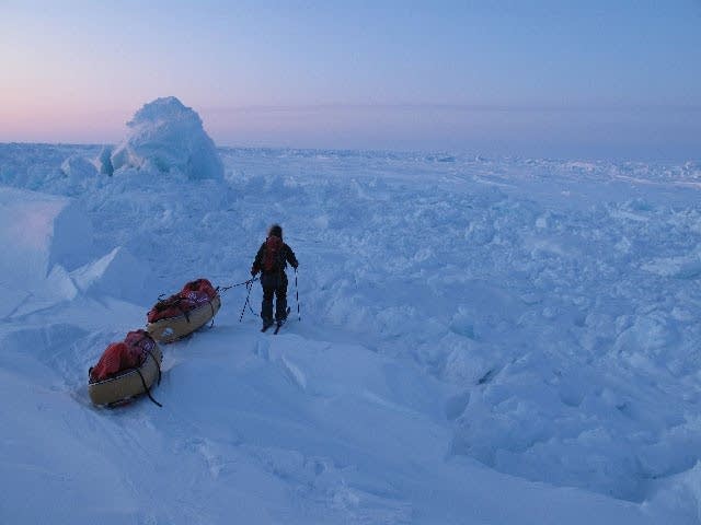 Explorers trek to the North Pole.