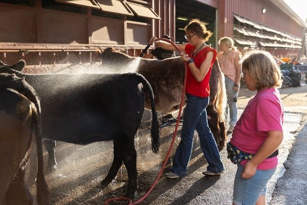 Photos: A glimpse into wholesome, core-Minnesota moments at the State Fair