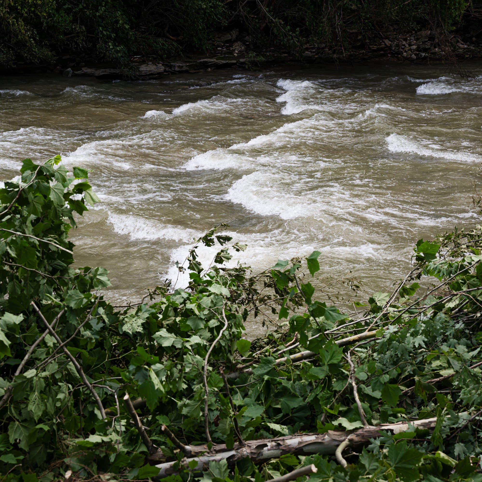 Watch Duty dives into flood detection