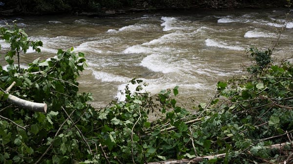 Watch Duty dives into flood detection