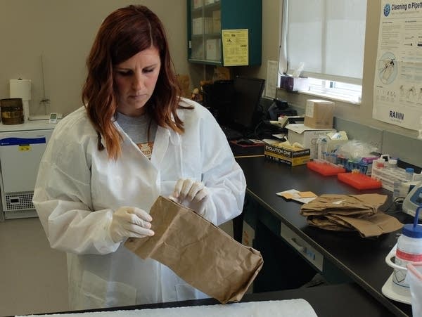 Megan O'Neil opens a plant sample