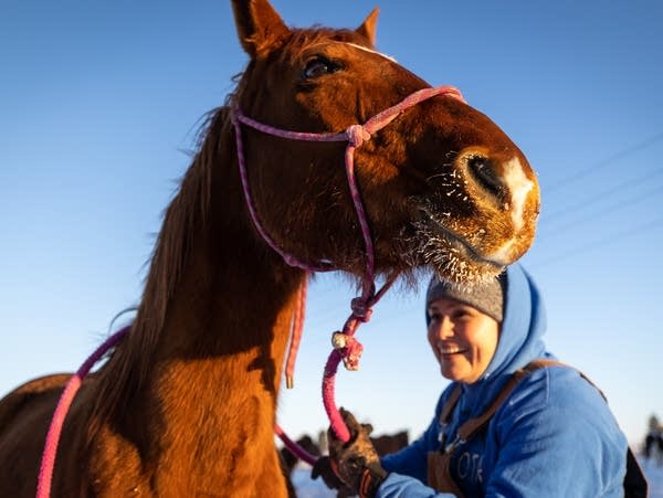 A horse's muzzle is coated in frost