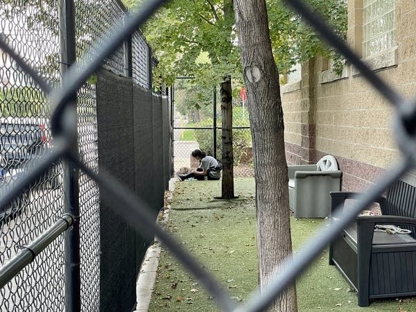 Person interacts with a dog as seen through fence 