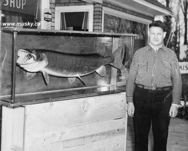 Stolen Wisconsin fish photo rekindles a Rice Lake debate