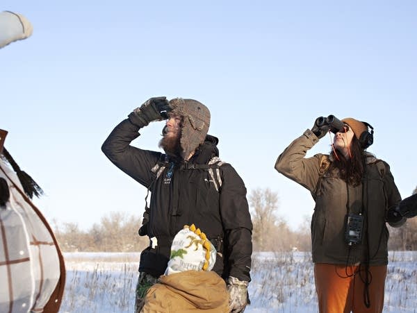 People look up for birds