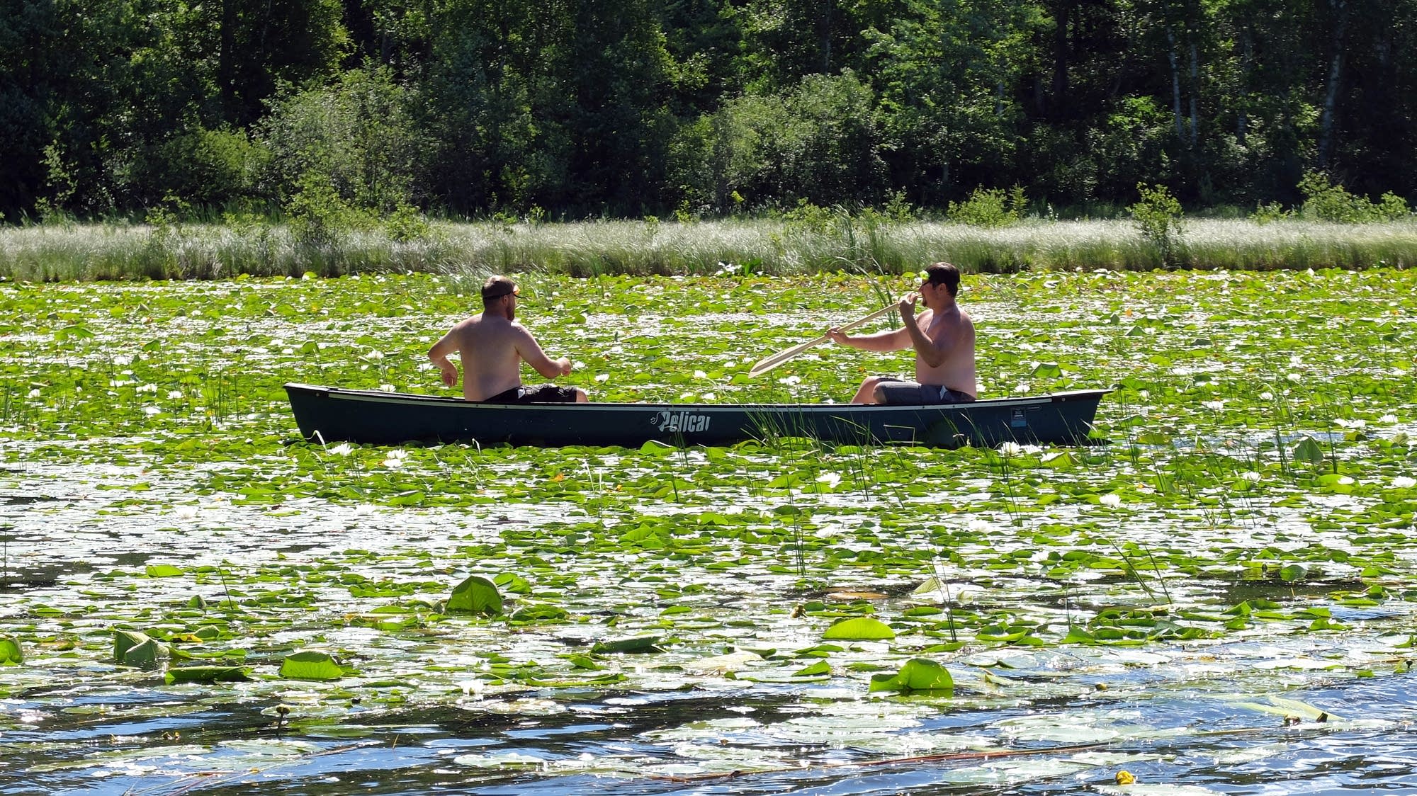 Scouting on Spider Lake in Itasca County, Minn.