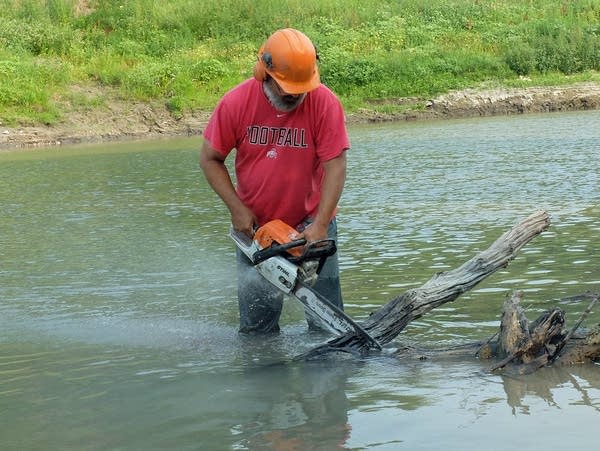 a man saws a tree 