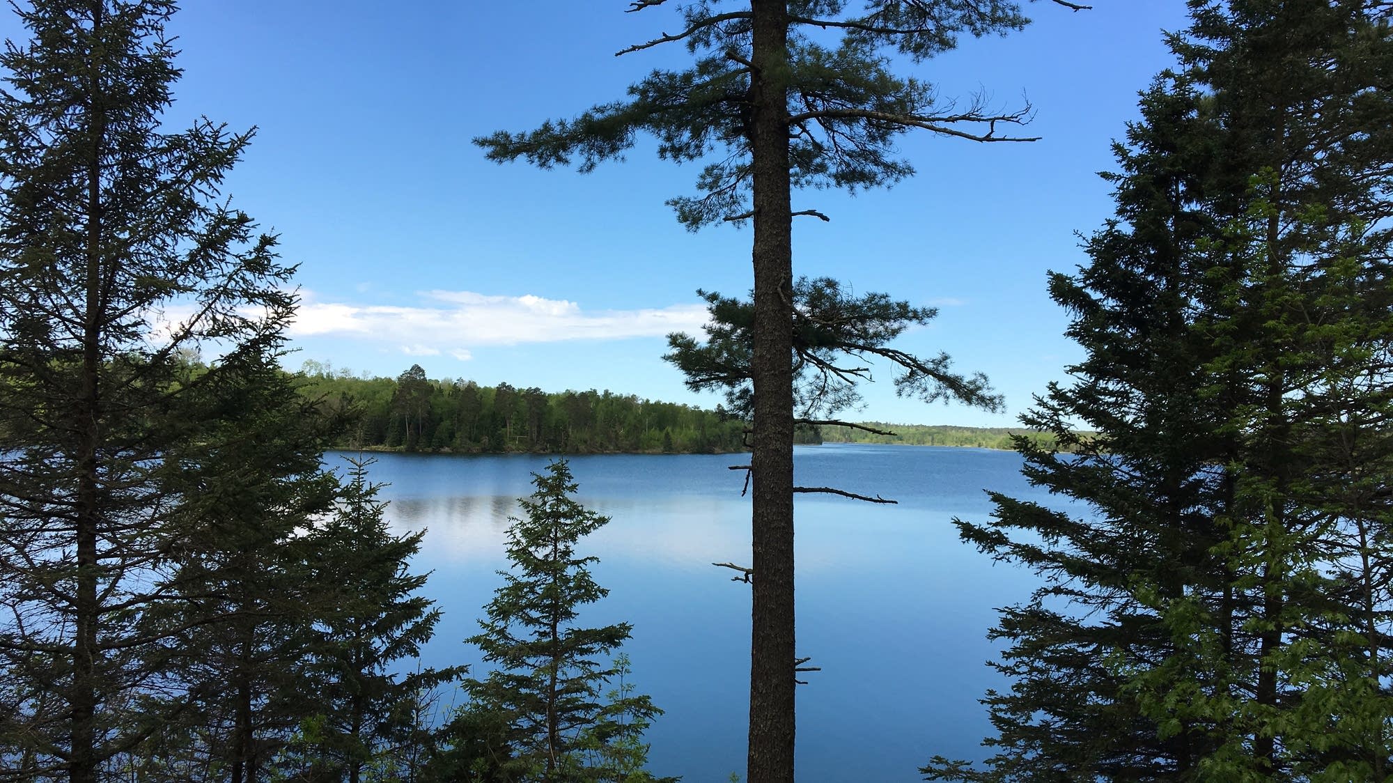 Minnesota public land trivia By the numbers MPR News