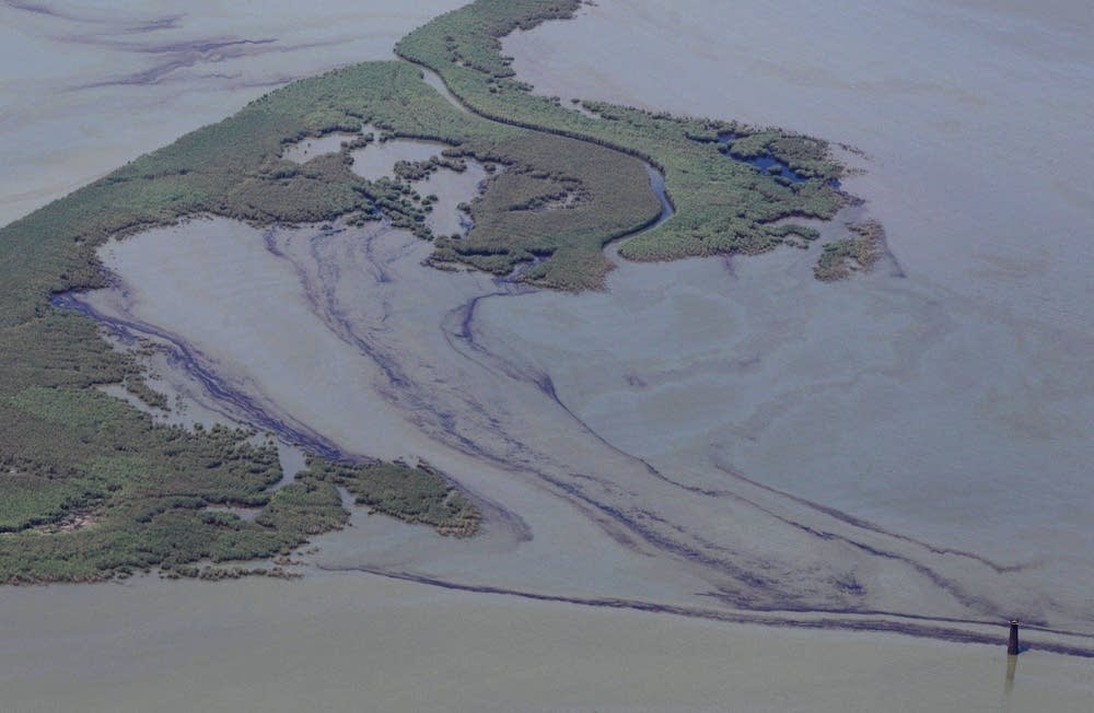 Oil near the mouth of the Mississippi River