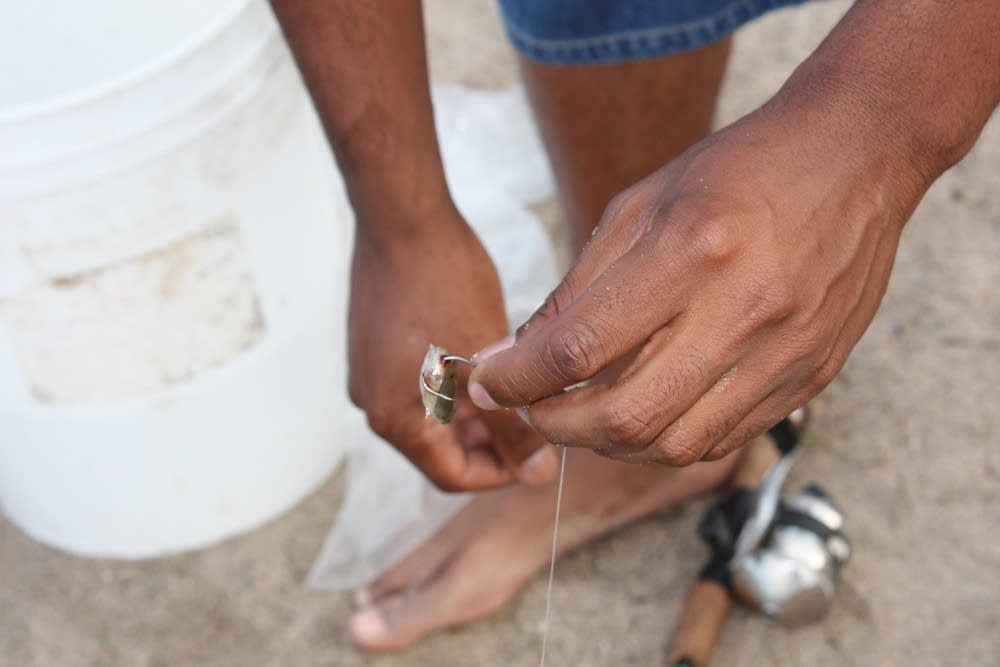 An angler baits his hook