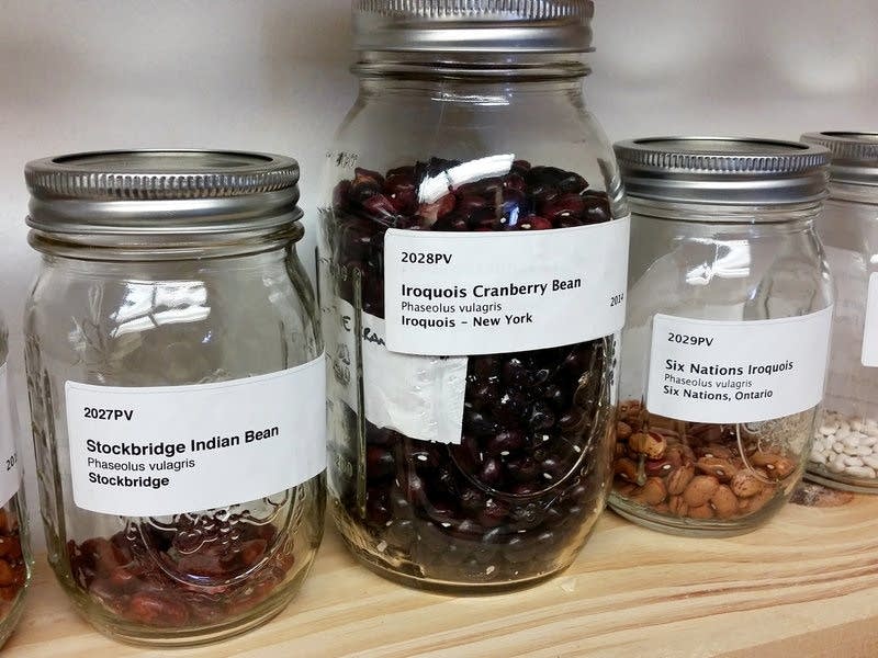 Seed library