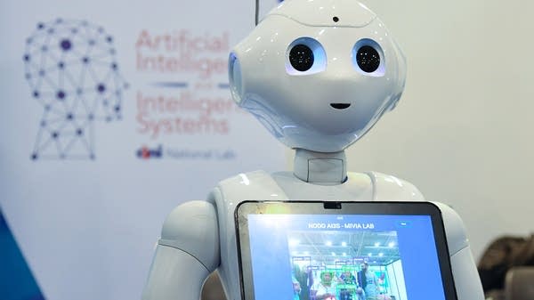 A robot from the Artificial Intelligence and Intelligent Systems laboratory of Italy's National Interuniversity Consortium for Computer Science is displayed at the Maker Faire 2019 in Rome in October. 