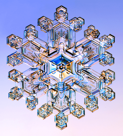 Snow crystal stellar dendrite