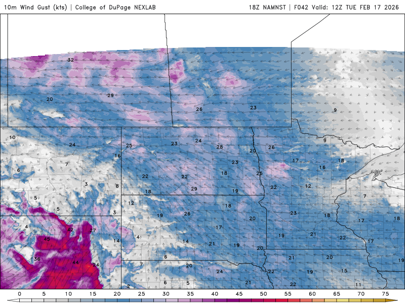 Wind speed and direction for Tuesday 6 a.m. to midnight