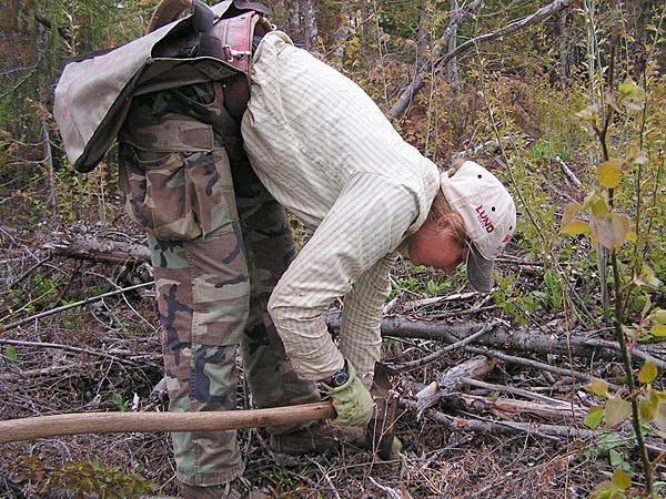 CC planting trees