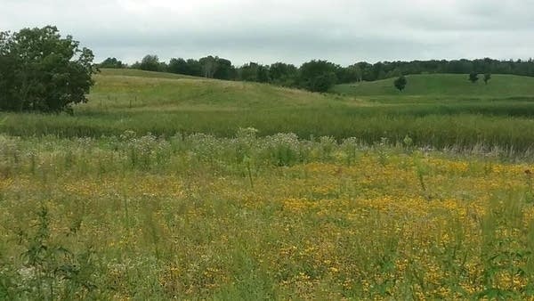 Cooler Sunday with isolated showers northeast and possibly south