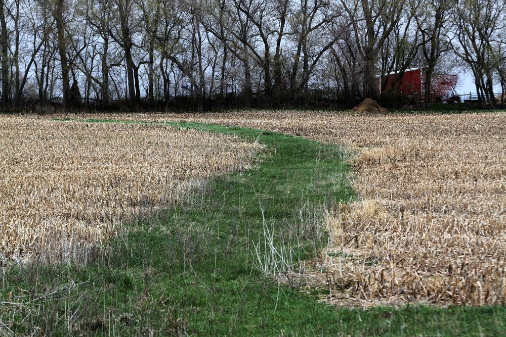 CRP area