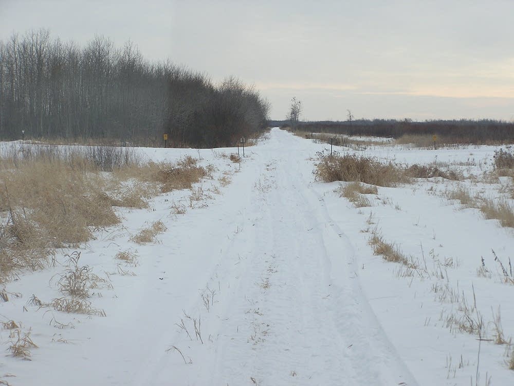 Trail
