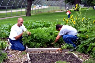 Cory Schilling, Jeremy Buschman