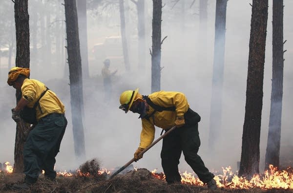 2013 wildfire season proving to be more mild than wild