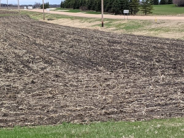 A damp field in Carver County