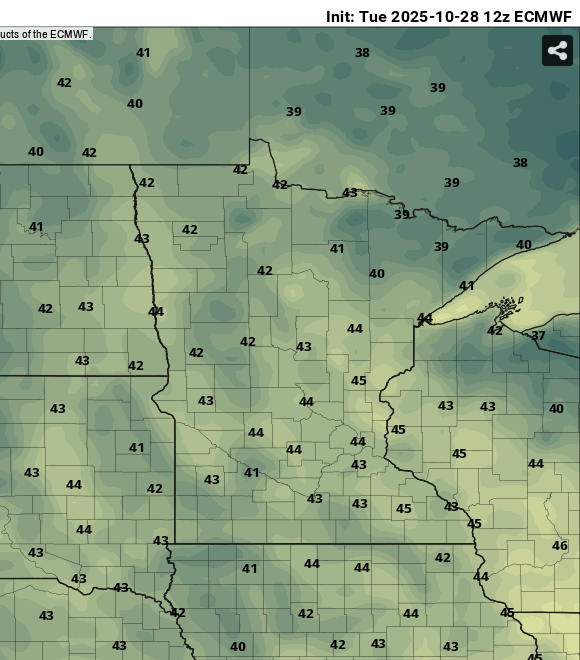 European ECMWF model temperature