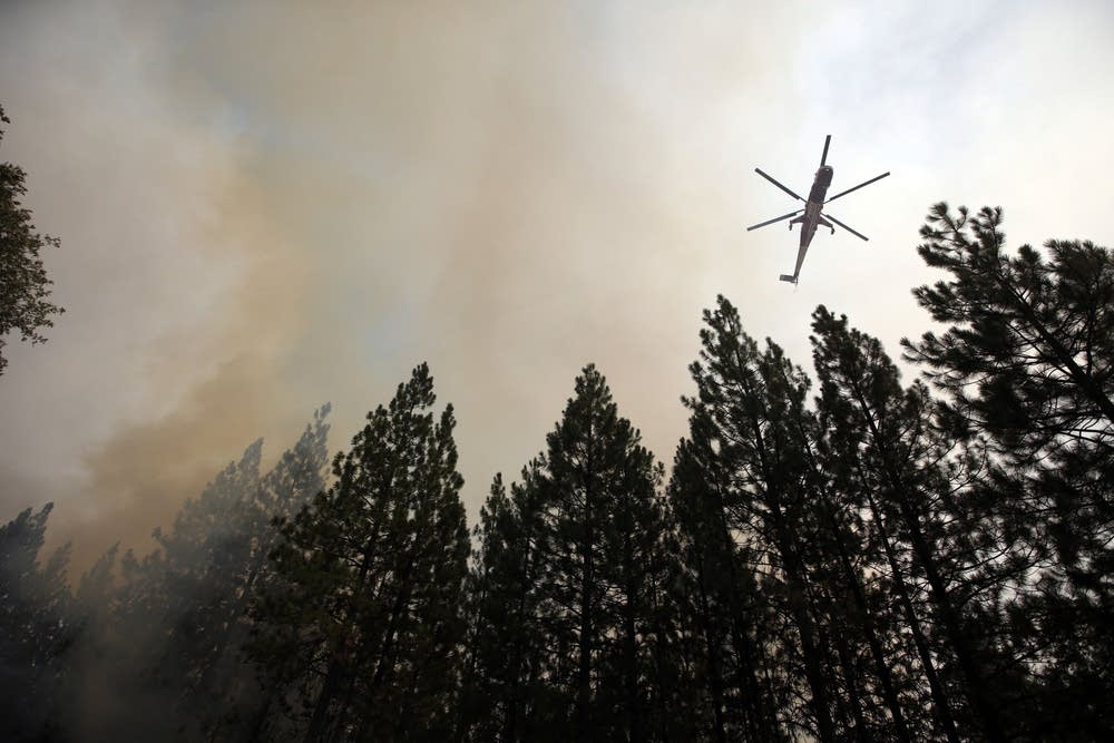 The Rim Fire near Yosemite