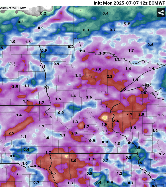 European (ECMWF) model precipitation output
