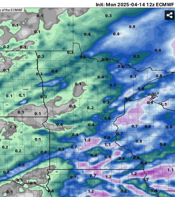 European (ECMWF) model precipitation output