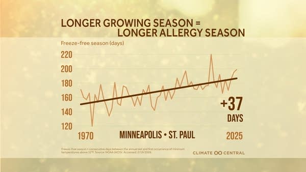 Achoo! Pollen season 