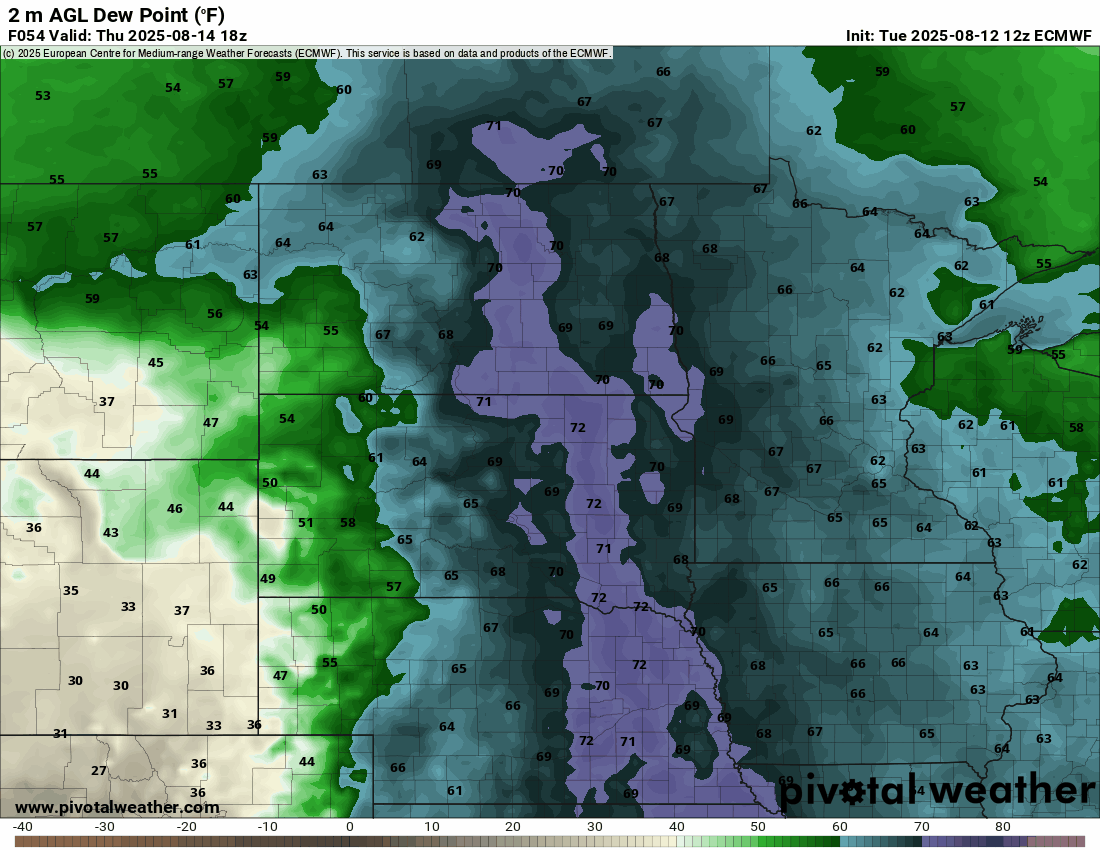 European ECMWF model dew point output