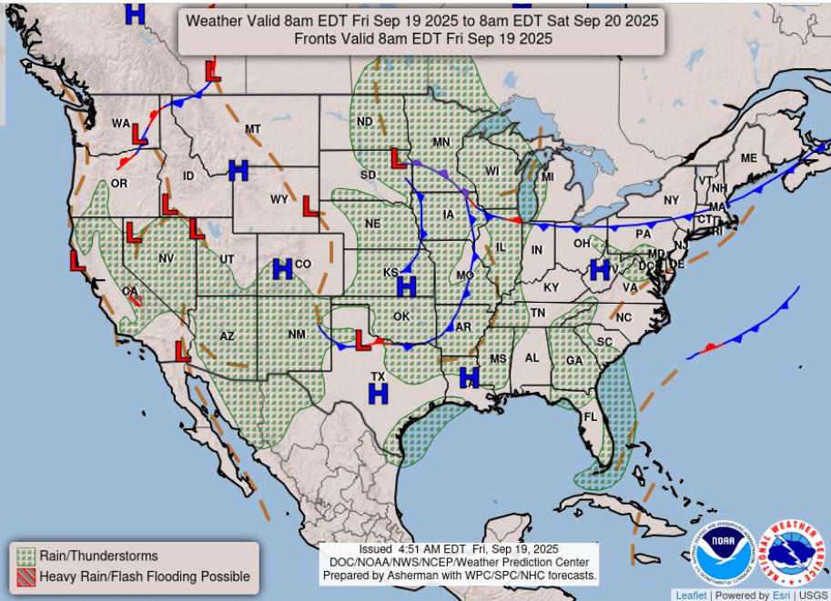 Surface analysis for Friday