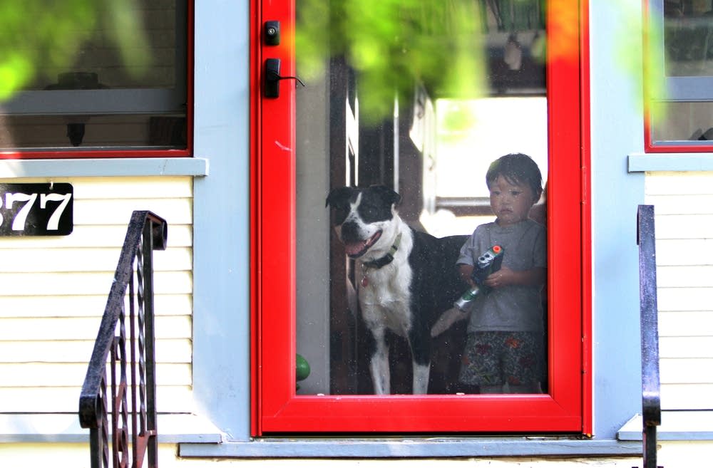 Watching from the front door