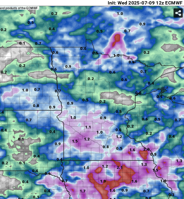 European (ECMWF) model precipitation output
