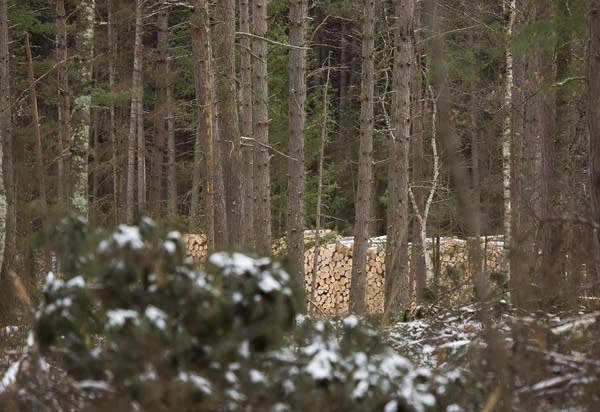 Logging underway at future test site.