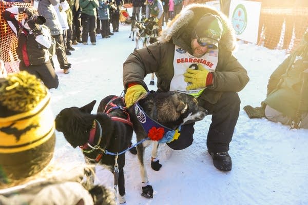 Beargrease sled race winner, runner-up talk dogs, cold, competition