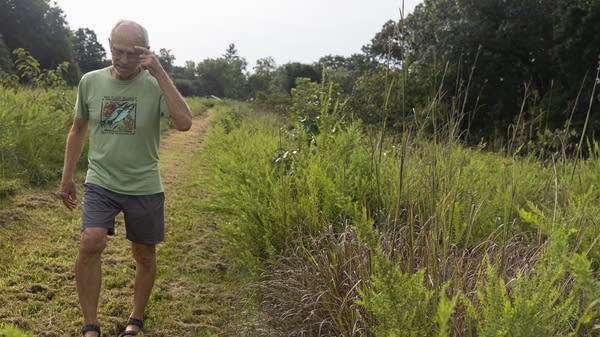 A man walks along a pasture path.